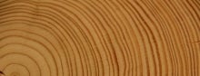 Cross section of a tree trunk showing alternating light and dark layers of the tree rings. from ucar scied, http://scied-ucar-edu-s.njmu.s5.bt8.net/learning-zone/how-climate-works/tree-rings-and-climate credit pixabay