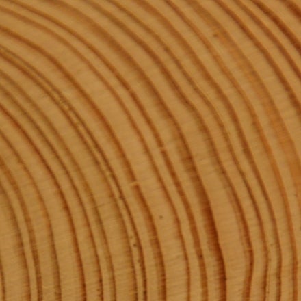 Cross section of a tree trunk showing alternating light and dark layers of the tree rings. from ucar scied, http://scied-ucar-edu-s.njmu.s5.bt8.net/learning-zone/how-climate-works/tree-rings-and-climate credit pixabay